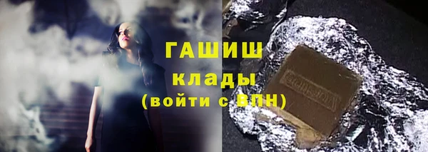 прущие грибы Михайлов