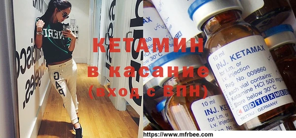 прущие грибы Михайлов