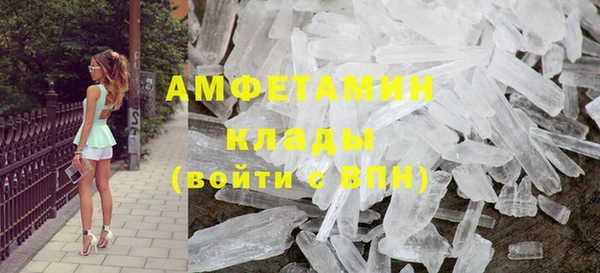 прущие грибы Михайлов