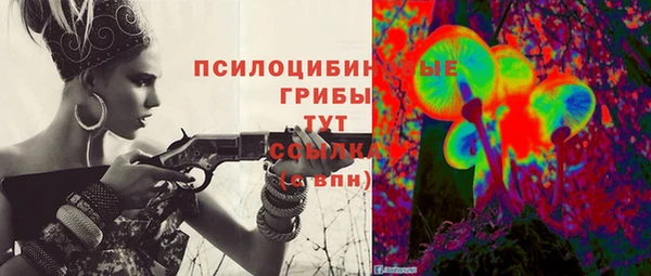 прущий лед Михайловка