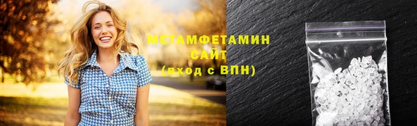 прущие грибы Михайлов